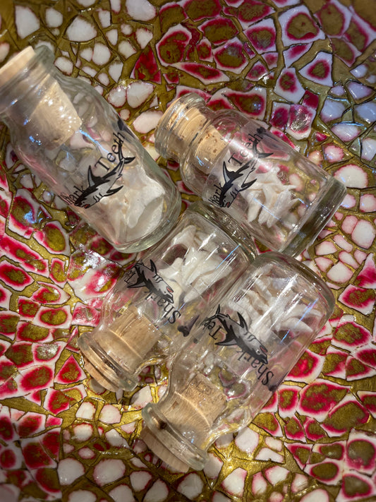 little white shark teeth in a bottle enter